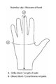 HAVEN Cycling long-finger gloves - DEMO LONG - blue/orange