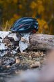HAVEN Cycling helmet - TOLTEC LUMIERE - black/red