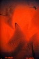 HAVEN Cycling neckwarmer - FACTORY - orange