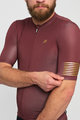 HOLOKOLO Cycling short sleeve jersey - VICTORIOUS GOLD - brown/gold