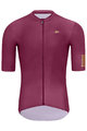 HOLOKOLO Cycling short sleeve jersey - VICTORIOUS GOLD - bordeaux