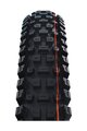 SCHWALBE tyre - ALBERT GRAVITY PRO 29x2.50 EVOLUTION 67EPI - black