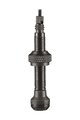 SCHWALBE tubeless valves - TUBELESS VALVE 40 mm - black