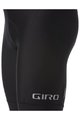 GIRO Cycling bib shorts - CHRONO SPORT - black
