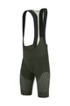 SANTINI Cycling bib shorts - FRECCIA - green