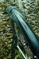 SKS set of fenders - BLADE 29/27.5+ - black