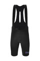 SANTINI Cycling bib shorts - UNICO EDGE - black