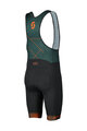 SCOTT Cycling bib shorts - TEAM - green/black