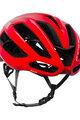 KASK Cycling helmet - PROTONE ICON WG11 - red
