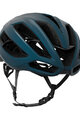 KASK Cycling helmet - PROTONE ICON WG11 - green