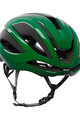 KASK Cycling helmet - ELEMENTO WG11 - green