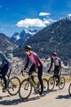 ALÉ Cycling winter long sleeve jersey - CIRCUS PR-S - purple