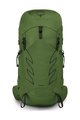 OSPREY backpack - TALON 33 L/XL - green