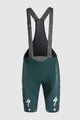 SPORTFUL Cycling bib shorts - BORA 2024 - green