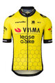 RAPIDGEAR Cycling short sleeve jersey - REPLICA VISMA 2025 - yellow