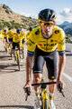 RAPIDGEAR Cycling short sleeve jersey - REPLICA VISMA 2025 - yellow