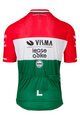 RAPIDGEAR Cycling short sleeve jersey - REPLICA VISMA HUNGARIAN CHAMP 2025 - red/white/green