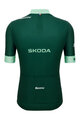 SANTINI Cycling short sleeve jersey - TOUR DE FRANCE - GREEN JERSEY - green