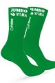 AGU Cyclingclassic socks - JUMBO-VISMA 2022 - green