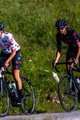 ALÉ Cycling bib shorts - BUTTERFLY LADY - black