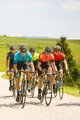 ALÉ Cycling short sleeve jersey - SLIDE - green/blue