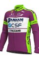 ALÉ Cycling winter long sleeve jersey - BARDIANI CSF 20 WNT - green/purple