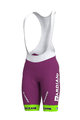 ALÉ Cycling bib shorts - BARDIANI CSF 2020 - purple/green