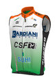 ALÉ Cycling gilet - BARDIANI CSF 2019 - multicolour