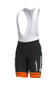 ALÉ Cycling bib shorts - BARDIANI CSF 2019 - multicolour