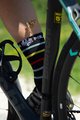 BIANCHI MILANO Cyclingclassic socks - MAIORI - black/multicolour