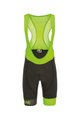 Biemme Cycling bib shorts - LEGEND - black/green