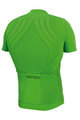 Biotex jersey - EMANA - green