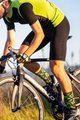 BIOTEX Cyclingclassic socks - MERINO - yellow/black