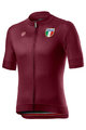 CASTELLI Cycling short sleeve jersey - ITALIA 20 - bordeaux