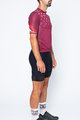 CASTELLI Cycling short sleeve jersey and shorts - AVANTI II - bordeaux/black