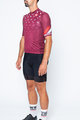 CASTELLI Cycling short sleeve jersey and shorts - AVANTI II - bordeaux/black