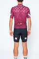 CASTELLI Cycling short sleeve jersey and shorts - AVANTI II - bordeaux/black