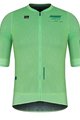 GOBIK Cycling short sleeve jersey - CARRERA 2.0 - light green