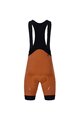 HOLOKOLO Cycling short sleeve jersey and shorts - DRAGON - orange/brown/light green