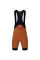 HOLOKOLO Cycling short sleeve jersey and shorts - DRAGON - orange/brown/light green