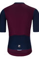 HOLOKOLO Cycling short sleeve jersey and shorts -   - black/bordeaux/grey