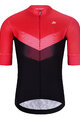 HOLOKOLO Cycling short sleeve jersey and shorts - ARROW II - black/red