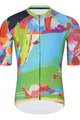 HOLOKOLO Cycling short sleeve jersey and shorts - DEER - multicolour/green
