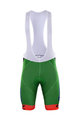 BONAVELO Cycling bib shorts - BARDIANI 2017 - green