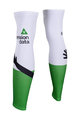 BONAVELO Cycling leg warmers - DIMENSION DATA 2019 - green/white