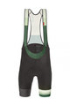 SANTINI Cycling bib shorts - LA VUELTA 2021 - green/grey