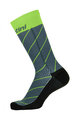 SANTINI Cyclingclassic socks - DINAMO - green