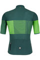 SANTINI Cycling short sleeve jersey and shorts - TONO FRECCIA - green/black