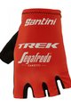 SANTINI TREK SEGAFREDO 2022 - black/red