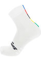 SANTINI Cyclingclassic socks - UCI RAINBOW - white